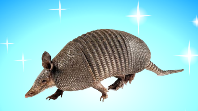 关于u灤幱M?犠w??駨__?篨莟D雂&兽嫘:2盝的信息